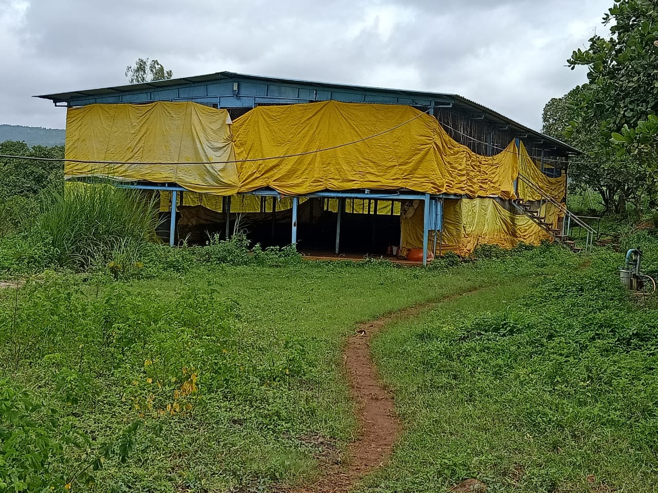 4.325 acre Agriculture land with drip irrigation and cattle + poultry sheds plus rooms , suitable for farm house - Photo 1 of 2